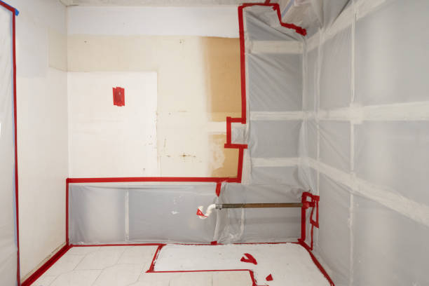 Best Indoor Air Quality Assessment  in Wallace, NC
